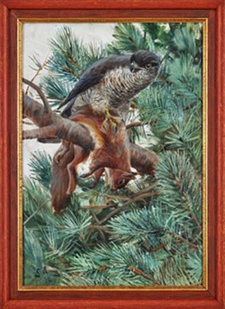 Sparrowhawk with squirrel by Gunnar Aberg - Auction record, sale price, and art valuation. Compare with similar artists and explore comparable artworks.