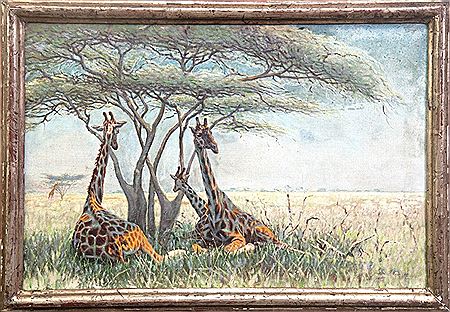 Resting Giraffes in the Shade of Trees