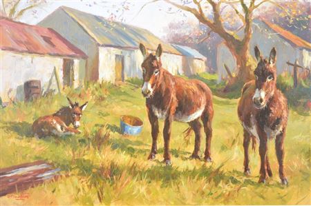 Donkeys in a farmyard
