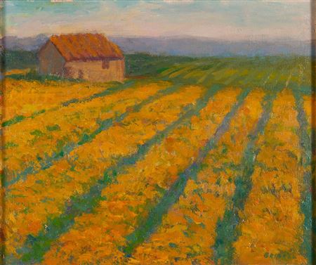 Field of Sunflowers