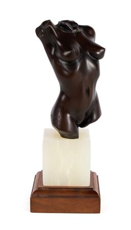 Female Torso