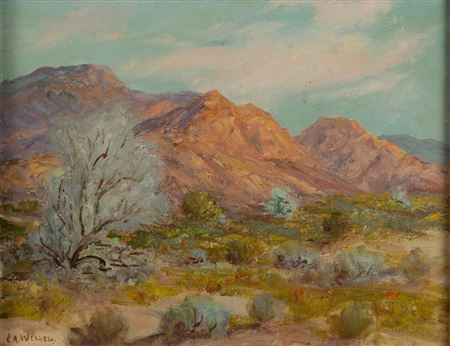 Desert Near La Quinta