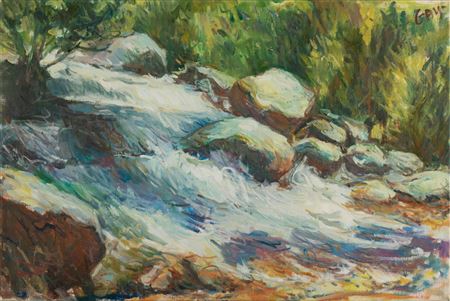 Rushing Stream