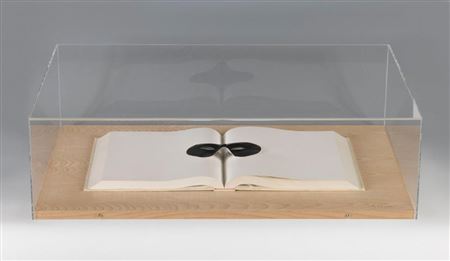 "The reading". 1989 Poem-object