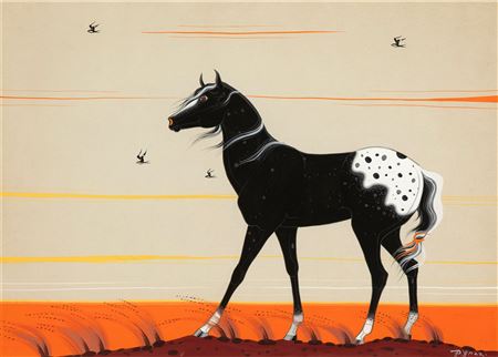 Untitled (Appaloosa)