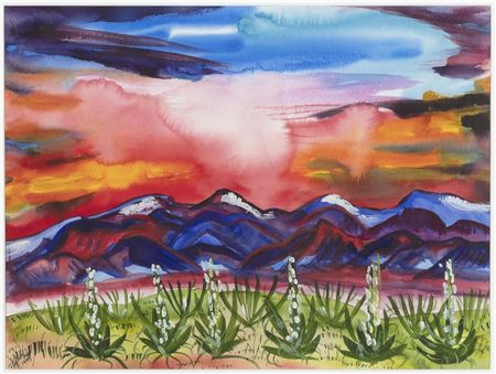 Desert in Bloom, 1994