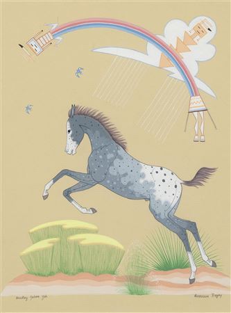 The Appaloosa Colt