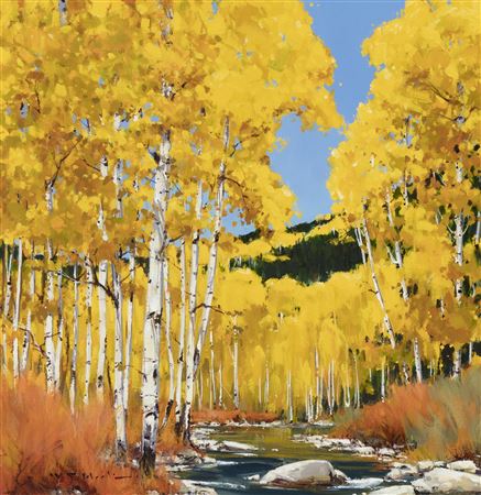 Aspen Stream