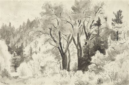 Untitled (Grove of Trees)