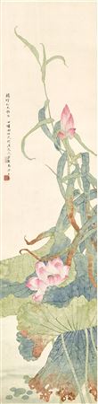 Lotus by Reed