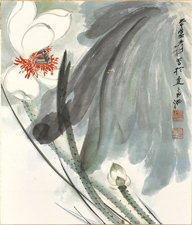 Lotus in the Wind