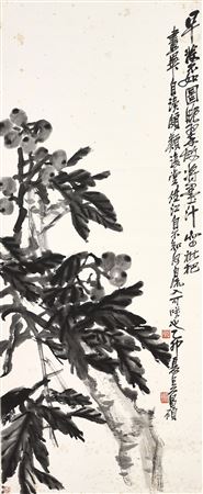 Loquats
