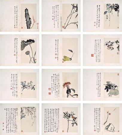 Flowers and Fruits (12)
