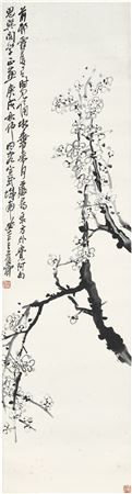 White Plum Blossoms