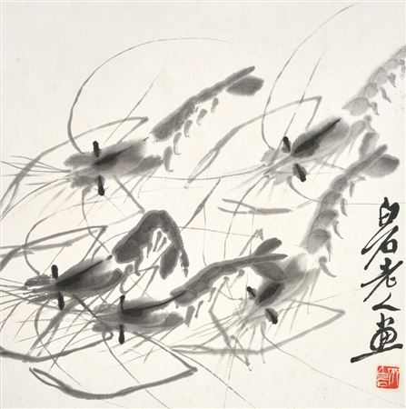 Shrimps