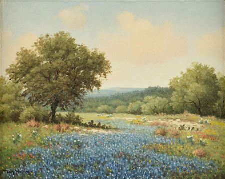 Bluebonnet Landscape