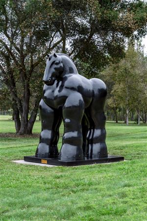 Fernando Botero biographical photo