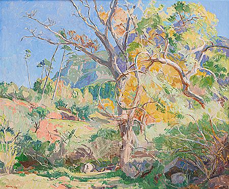 On the Slopes of Devils Peak, Teen Duiwelspiek