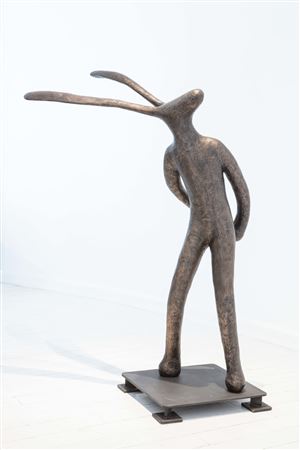 The Shy Hare