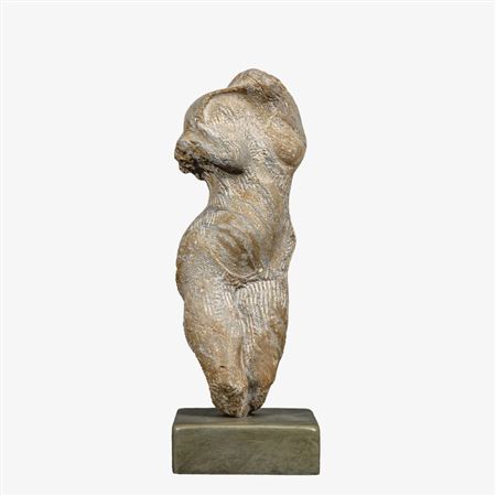 A Female Torso