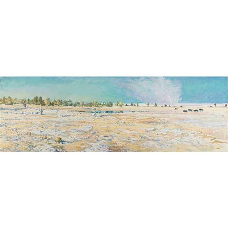 Etosha Landscape