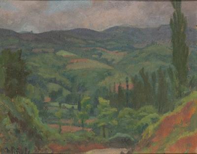 Asturian landscape