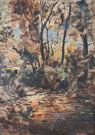 RIVER SCENE