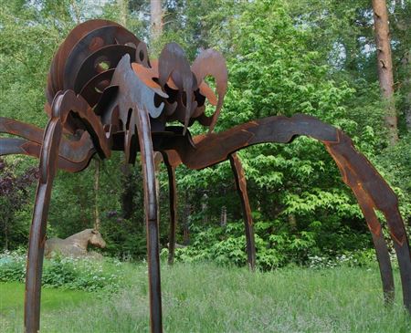 Giant Tarantula by Wilfred Pritchard - Auction record, sale price, and art valuation. Compare with similar artists and explore comparable artworks.