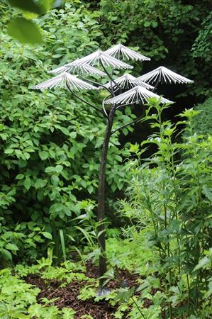 Parasol
