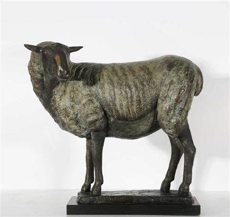 A Study of an Ewe
