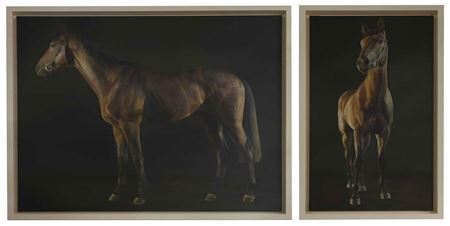 Front and side portraits of a bay horse (2)