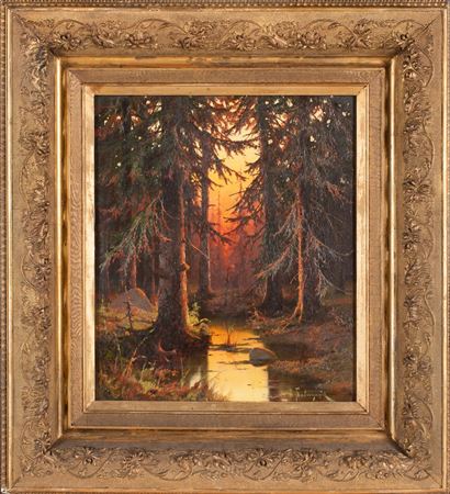 Sunset in the Forest