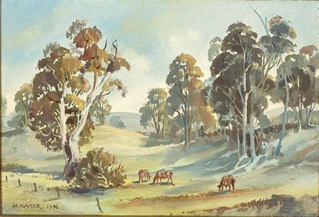 Cattle Grazing near Orange 1976
