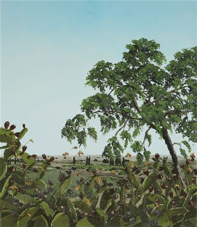 Landscape and Sabras by Assaf Shani - Auction record, sale price, and art valuation. Compare with similar artists and explore comparable artworks.