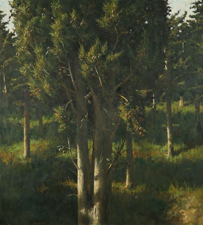 Trees