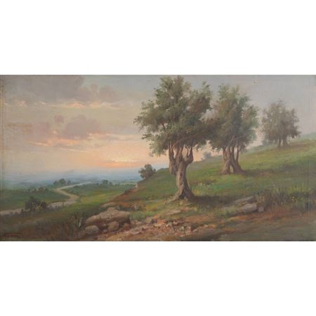 Landscape and olive trees