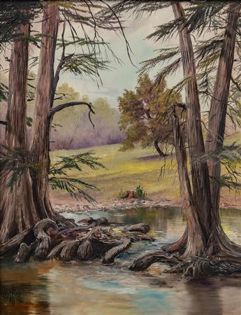 Guadalupe River Scene