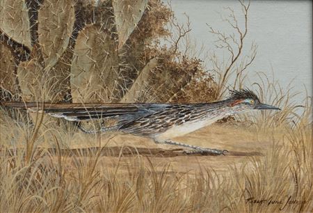 Roadrunner in Cactus by Robert Quill Johnson - Auction record, sale price, and art valuation. Compare with similar artists and explore comparable artworks.