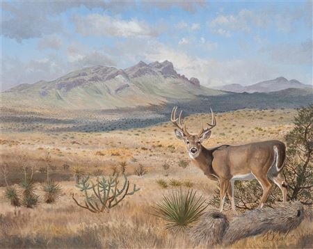 West Texas Whitetail by Travis Keese - Auction record, sale price, and art valuation. Compare with similar artists and explore comparable artworks.