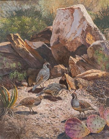 California & Gambles Quail by Travis Keese - Auction record, sale price, and art valuation. Compare with similar artists and explore comparable artworks.