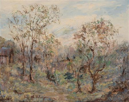 Texas Landscape