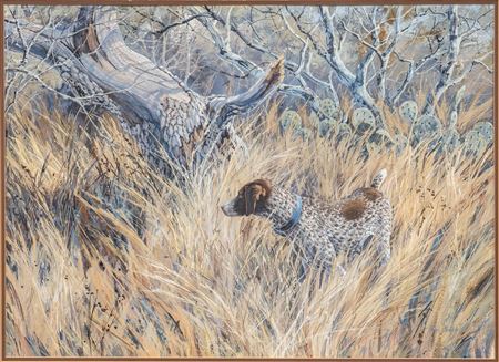 Hunting Bird Dog