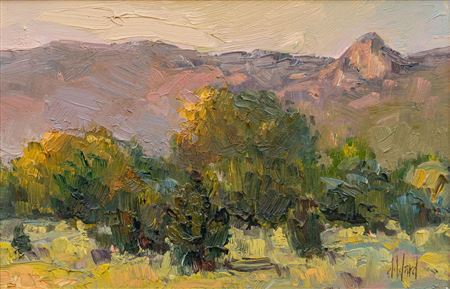 Taos Mountains