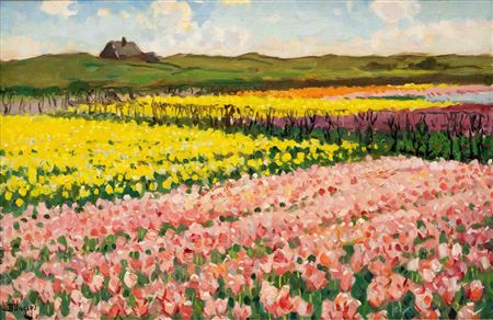 Yellow and pink bulb fields