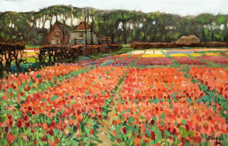 Red bulb fields with a row of trees in the distance