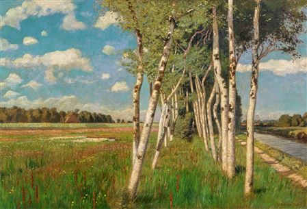 Sommer im Moor
