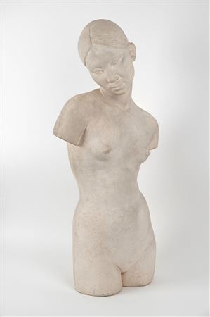 Young Vietnamese Woman or Annamite Woman's Torso