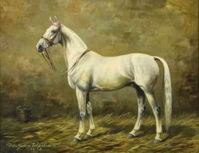 Hannoverian white horse