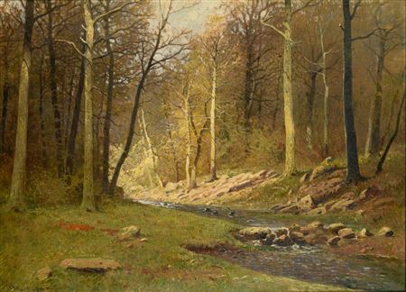 Bachlauf im Wald