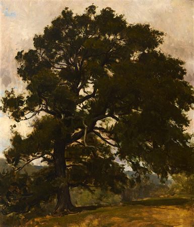 TREE STUDY